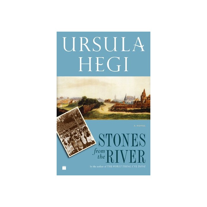 Stones From The River (First edition)